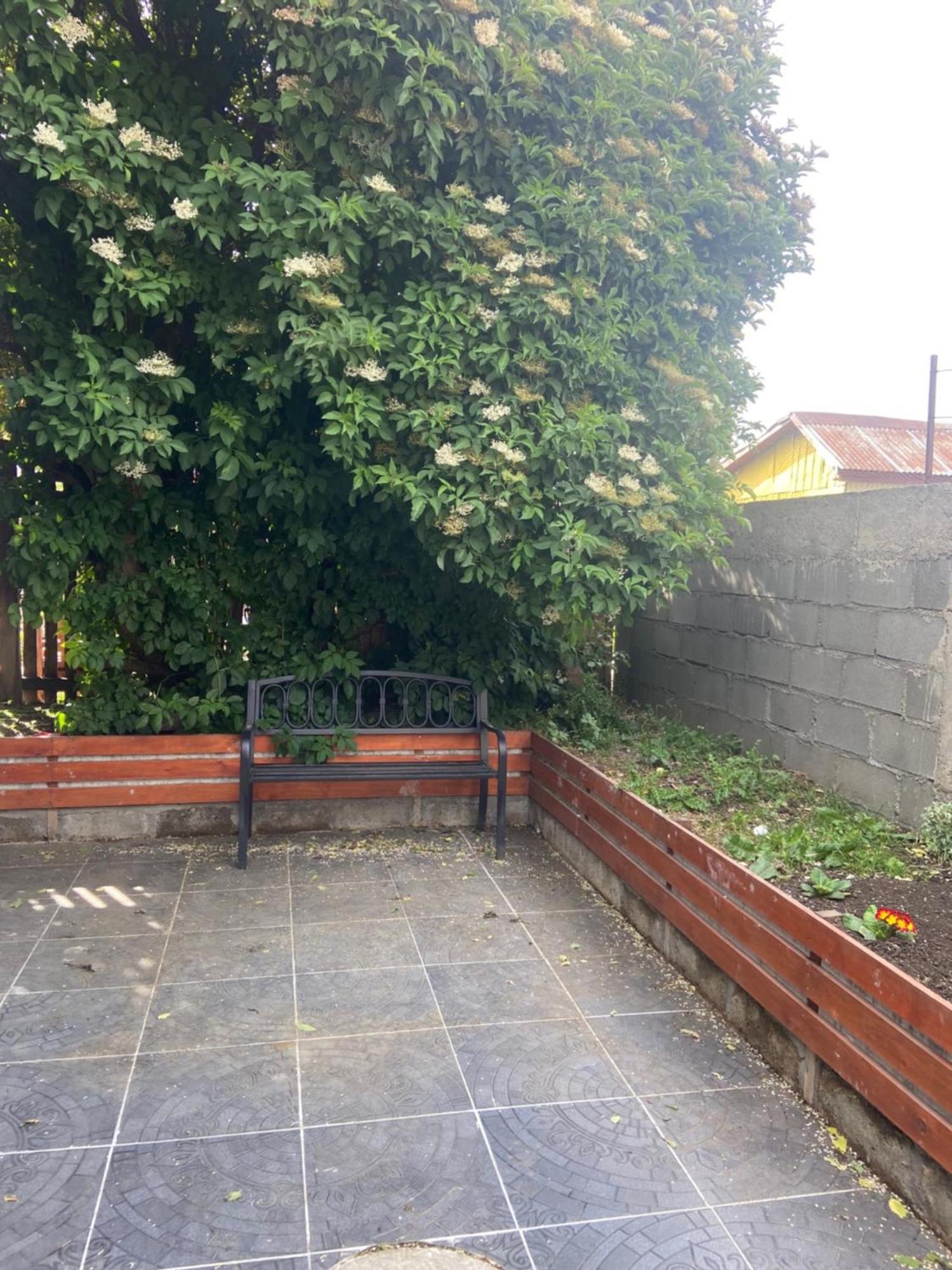 פואנטה ארנס Cabanas Bosque Austral מראה חיצוני תמונה