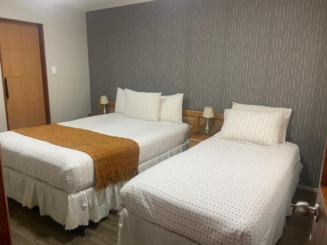 פואנטה ארנס Cabanas Bosque Austral מראה חיצוני תמונה